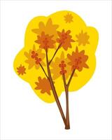 Rowan tree. Autumn tree with yellow and orange leaves. Autumn leaf fall. Illustration on a white background. Isolated vector