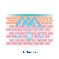 Occlusives, type of moisturizer illustration isolated on white background. Cross section of skin barrier layer create a protective seal over the skin to prevent water and moisture loss. vector