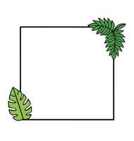 Tropical leaves and palm leaves in a square frame vector
