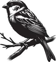 black and white illustration of a bird sitting on a branch vector