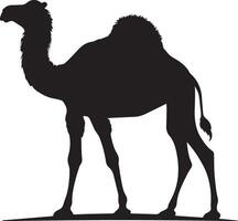 a silhouette of a camel on a white background vector
