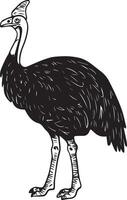 an emu bird with a hat on its head vector