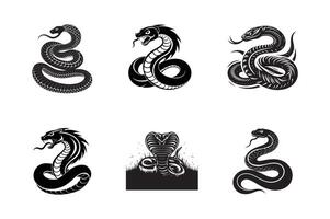 set of Venomous Viper, Silent Predator Awaits vector
