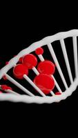 Black background with a DNA molecule. Design. Color animation in an approximate format moving in different directions. video
