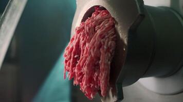 Close-up of minced meat falling out of meat grinder. Clip. Preparation of fresh raw minced meat scrolled through mincer. Mincer with stream of minced meat video