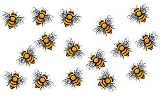 bees swarm in a row on a white background vector