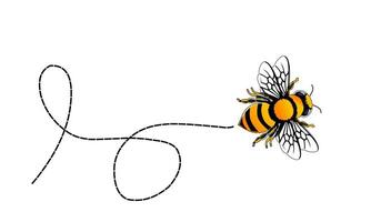 a bee flying with a line drawn on it vector