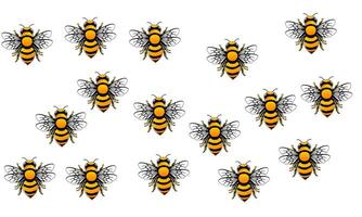 bees in a row on a white background vector