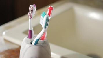Three toothbrushes in a vase on a counter video