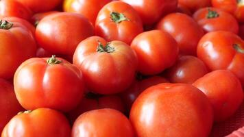 A close up of a basket full of tomatoes video