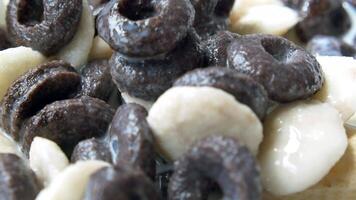 A close up of a plate of cereal with chocolate chips video