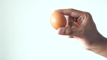 A hand holding an egg in front of a white background video