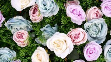 A bunch of different colored roses are on the ground video
