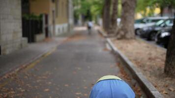A Person is Walking in a Serene and Peaceful Urban Environment That is Quite Enjoyable video