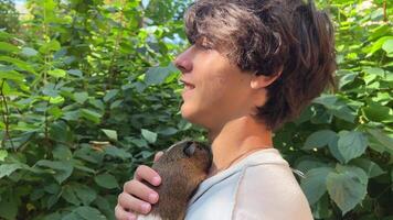 A charming and cuddly Capybara is happily enjoying the beautiful and peaceful nature all around it video