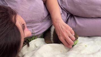 Enjoying a Peaceful and Relaxing Time in Nature with an Adorable Guinea Pig Close By video