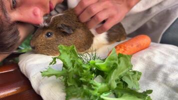 A boy enjoying a sweet moment cuddling with a fluffy guinea pig alongside fresh vegetables video