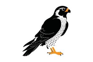 The Falcon Bird Logo Design Illustration EPS File is a sleek and dynamic graphic that captures the power and grace of a falcon in flight. Ideal for branding, this design vector