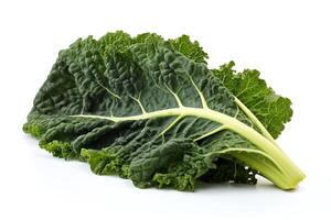 A single leaf of green kale, isolated on a white background. The leaf is slightly curled and has a serrated edge. The veins of the leaf are visible. photo