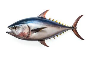 Photo of a bluefin tuna on a white background. The fish is in focus and centered in the frame. The lighting is bright and even. The fish's scales are clearly visible.