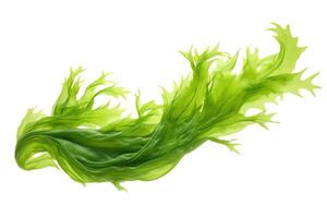 Generate an image of a single strand of green algae, with a single air bubble on the right side of the strand photo