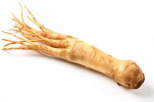 A close-up image of a ginseng root. The root is long,beige, and has a wrinkled texture. It is isolated on a white background. photo