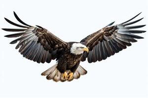 A bald eagle soars through the sky, its wings outstretched and its feathers gleaming in the sun photo