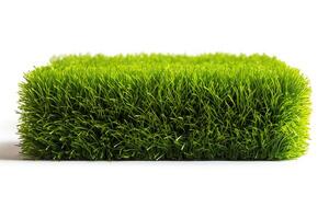 Generate an image of a cross section of grass photo
