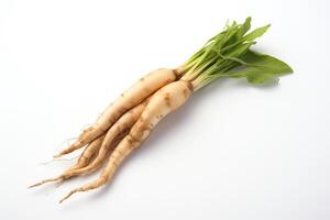 A close-up image of a bunch of fresh burdock root on a white background. photo