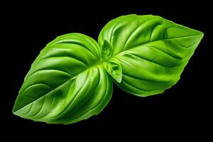 Photo of a single basil leaf, with the veins and edges of the leaf being very clear. The leaf should be a dark green color, and should be isolated on a black background.