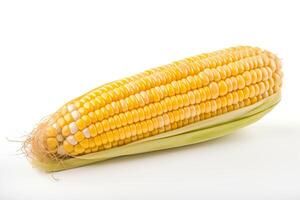 A single ear of corn, with the husks partially removed, isolated on a white background. photo