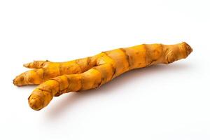Fresh turmeric root isolated on white background photo