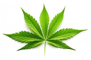 Create a minimalist, flat design icon of a cannabis leaf. The icon should be simple, easy to recognize, and use a single, solid color. photo