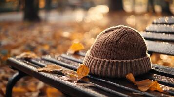 Frost-covered beanie hat on a park bench, golden autumn leaves scattered around, knit texture standing out against the natural backdrop. Autumn clothing photo