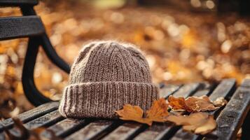 Autumn scene with a beanie hat dusted with frost, knit texture contrasting with the golden autumn leaves and park bench. Autumn clothing photo