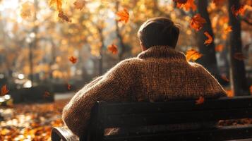 Cozy autumn scene with a person in a warm sweater on a park bench, sunlight highlighting the sweater texture, colorful autumn leaves surrounding. Autumn clothing photo