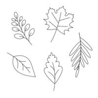 A set of black and white icons of autumn leaves on a white background. vector