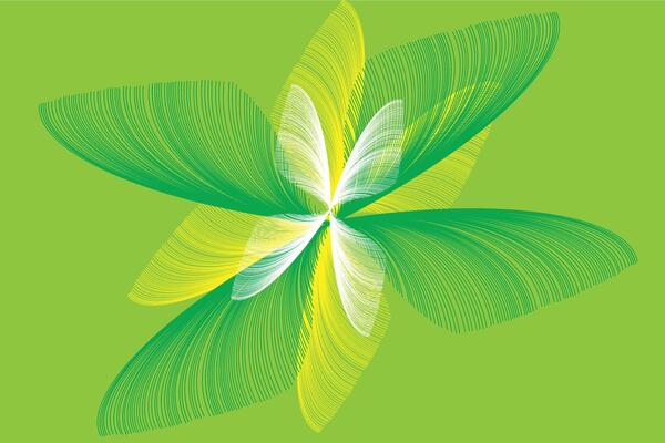 a green and yellow butterfly on a green background