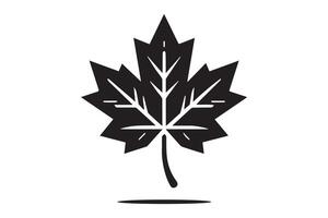 A black and white maple leaf icon vector