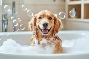 Cheerful dog enjoying a bubble bath, surrounded by soap bubbles photo