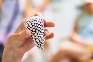 Person holding a uniquely patterned rock with a heart design in a casual indoor setting during daylight hours photo