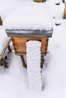 Wooden bee hive covered in snow, showing signs of winter at an apiary in a tranquil setting photo