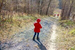Young child in a red jacket exploring a gravel path through a wooded area during a sunny day in autumn photo