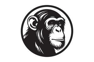A black and white image of a chimpanzee vector