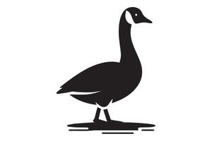 A black goose standing on a white background vector