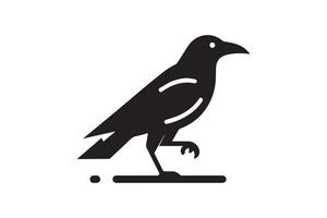 A black bird standing on a white background vector