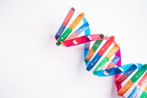 DNA or Deoxyribonucleic acid is a double helix chains structure formed by base pairs attached to a sugar phosphate backbone. photo