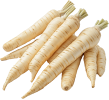 Parsnip Vegetable isolate, Pastinaca sativa Clipart, fresh pile of parsnip illustration png
