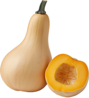 Green Butternut Squash vegetable, Green Butternut Clipart - Fresh Butternut Squash with half cut illustration png