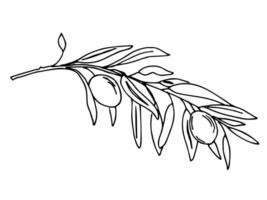 Olive Branch with Olives. Hand drawn illustration in outline style. Black and White line art for cards, logos and food, cosmetic design. vector